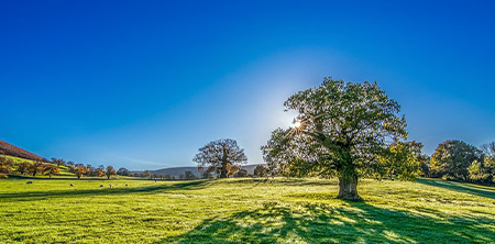 grasslands image