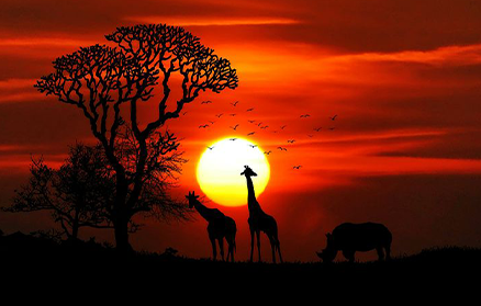 savanna image